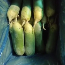 平度水果萝卜，脆甜不辣