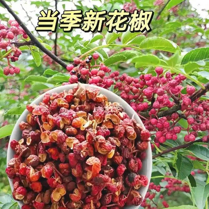 凉山大红袍红花椒，货源充足，品质保证，量大从优，欢迎咨询