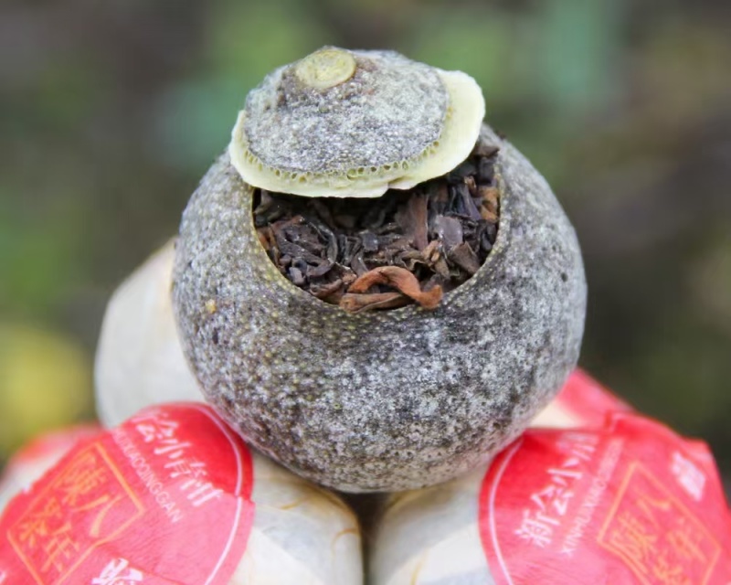 八年陈茶-天马一号小青柑