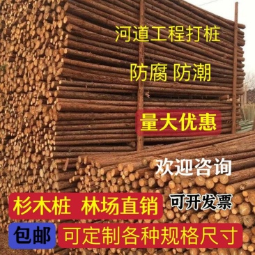 定制杉木桩户外河道工程驳岸桩营地民宿木园林绿化树木支撑杆
