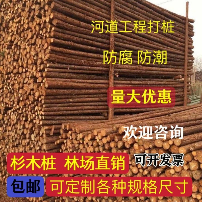 定制杉木桩户外河道工程驳岸桩营地民宿木园林绿化树木支撑杆