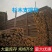定制杉木桩户外河道工程驳岸桩营地民宿木园林绿化树木支撑杆