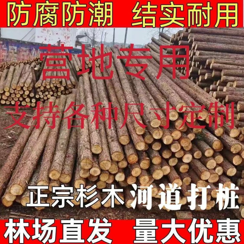 定制杉木桩户外河道工程驳岸桩营地民宿木园林绿化树木支撑杆