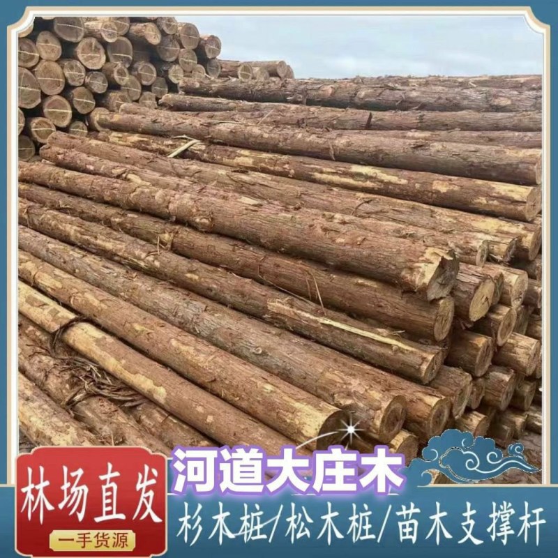 定制杉木桩户外河道工程驳岸桩营地民宿木园林绿化树木支撑杆