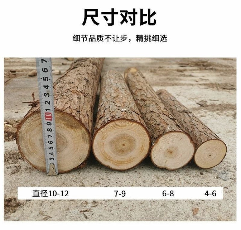 定制杉木桩户外河道工程驳岸桩营地民宿木园林绿化树木支撑杆
