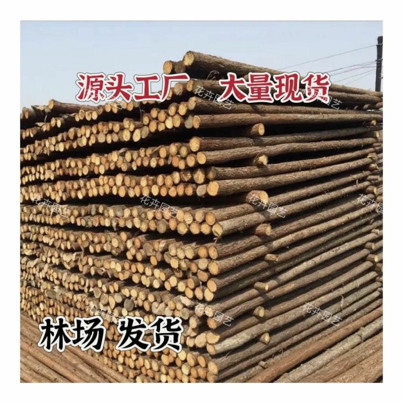 定制杉木桩户外河道工程驳岸桩营地民宿木园林绿化树木支撑杆