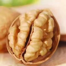 新货新疆薄皮纸皮核桃厂家电商直播供应链按需袋装一件代发