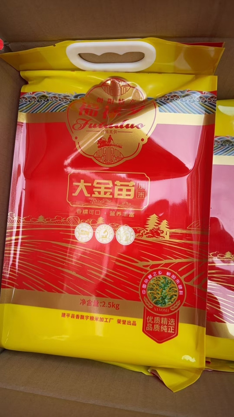 小米，金苗小米