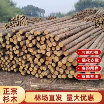 杉木圆木户外民宿营地实木桩河道打桩菜园围栏绿化支撑杆带皮