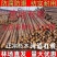 杉木圆木户外民宿营地实木桩河道打桩菜园围栏绿化支撑杆带皮