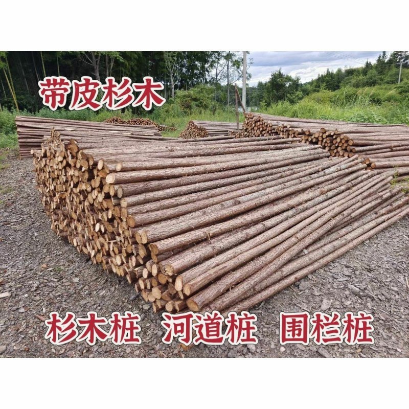 杉木圆木户外民宿营地实木桩河道打桩菜园围栏绿化支撑杆带皮