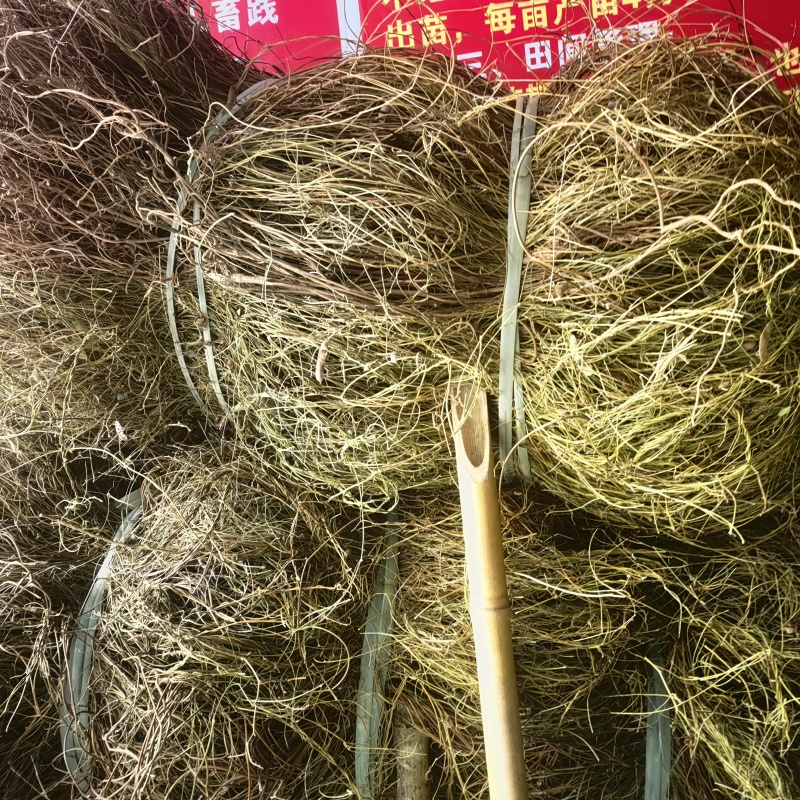 鸡骨草中药材批发全国发货欢迎选购保质保量