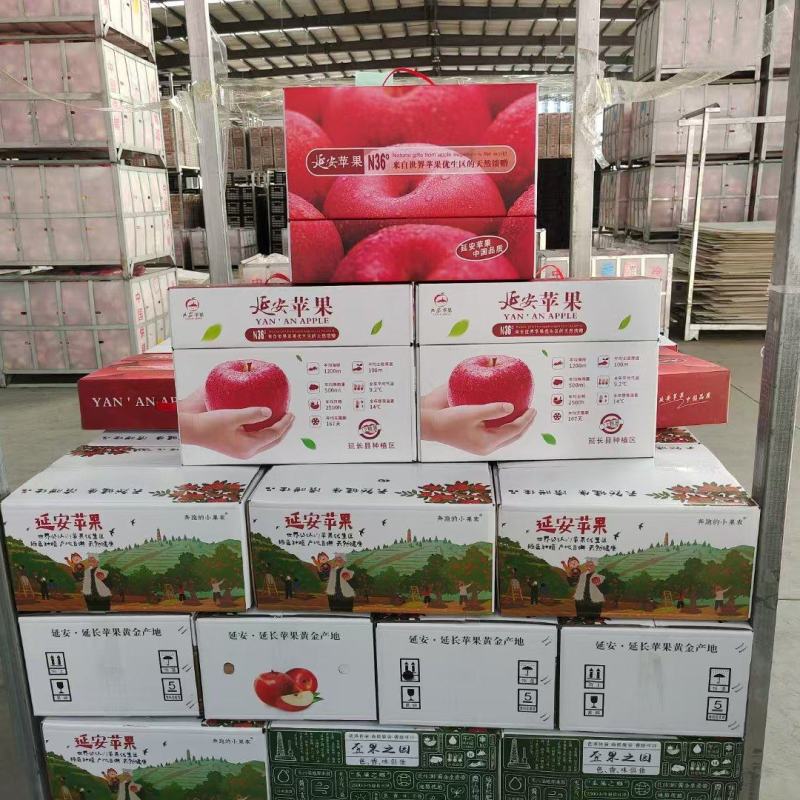 延安苹果，中国果礼。