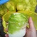 四川大头菜大量上市可以走挂车机洗大头菜泥大头菜