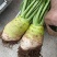 四川大头菜大量上市可以走挂车机洗大头菜泥大头菜