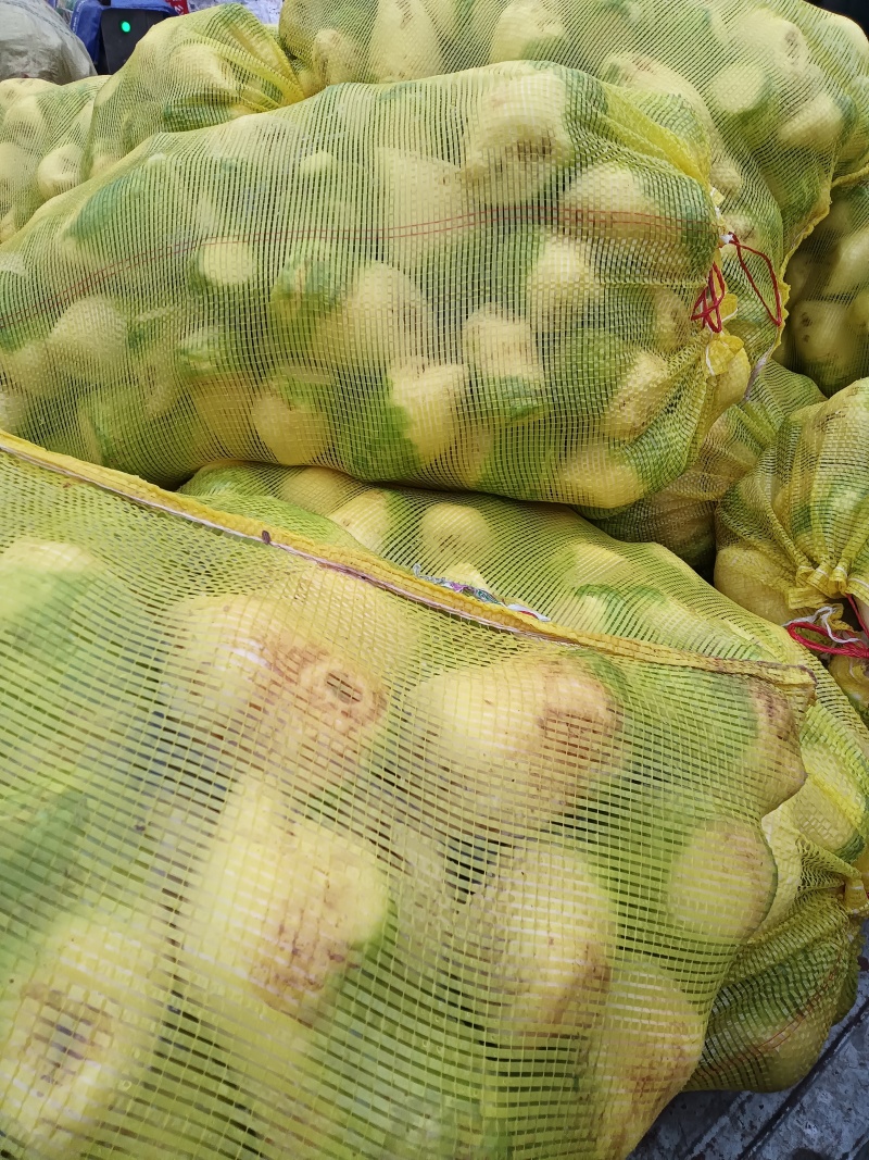 四川大头菜大量上市可以走挂车机洗大头菜泥大头菜