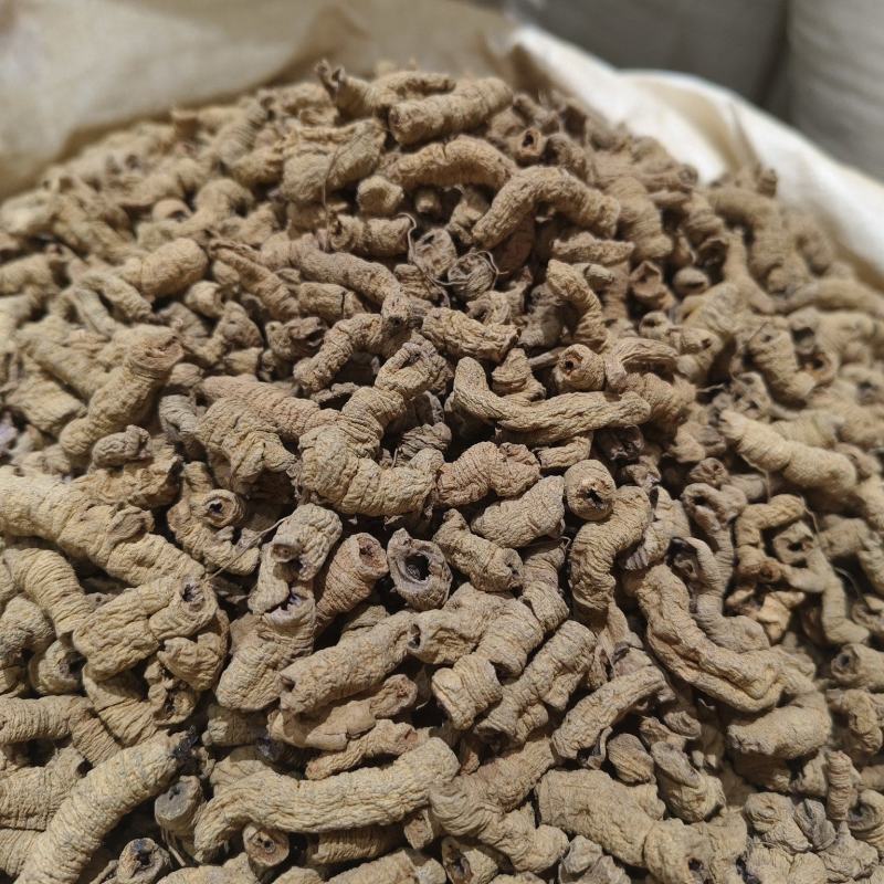 巴戟天新货巴戟天大肉货中肉巴戟天干净各种规格批发零售