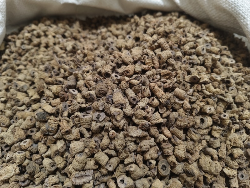 巴戟天新货巴戟天大肉货中肉巴戟天干净各种规格批发零售