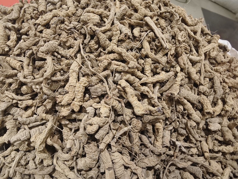 巴戟天新货巴戟天大肉货中肉巴戟天干净各种规格批发零售