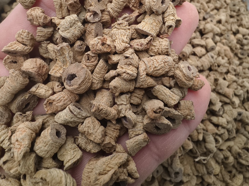 巴戟天新货巴戟天大肉货中肉巴戟天干净各种规格批发零售