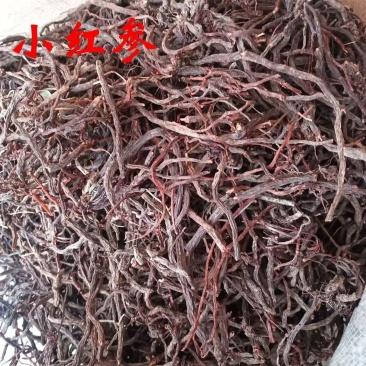 云南中药材小红参滇紫参小红药小舒筋