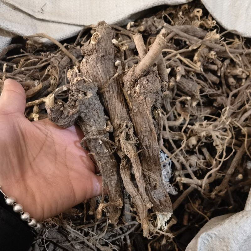 京大戟大戟中药材富贵堂龙虎草