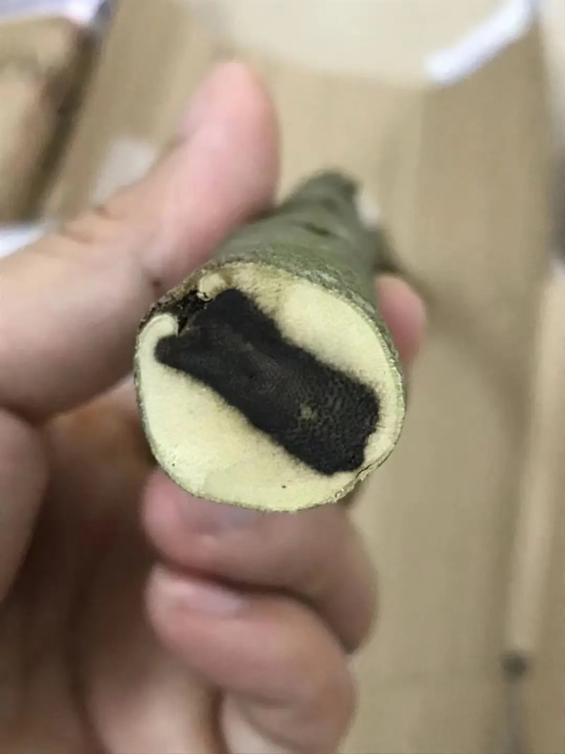 吊坠车挂