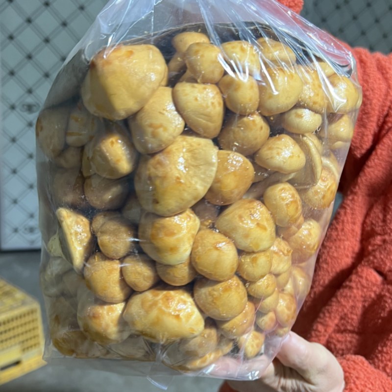 滑子菇