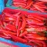 广东新苗辣椒大量货源供应小米椒美人椒3号红线椒