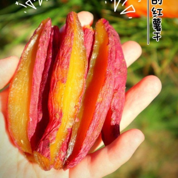 榴莲蜜薯碳烤薯干