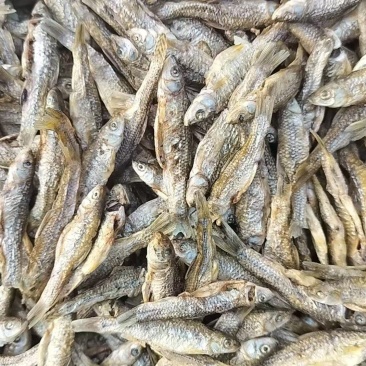 微山湖特产开肚烤麦穗鱼干产地直供品质保证欢迎来电