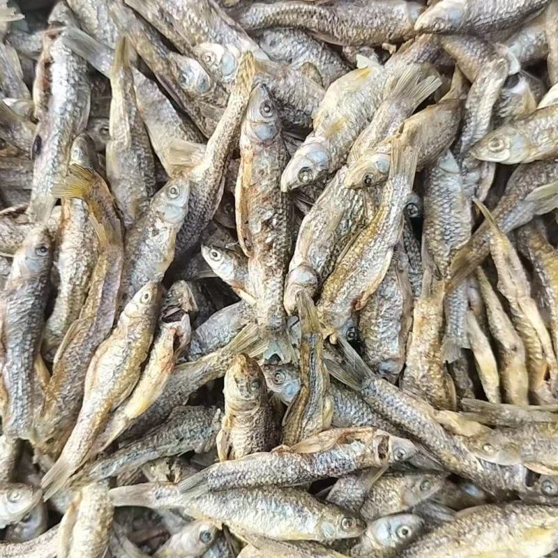 微山湖特产开肚烤麦穗鱼干产地直供品质保证欢迎来电