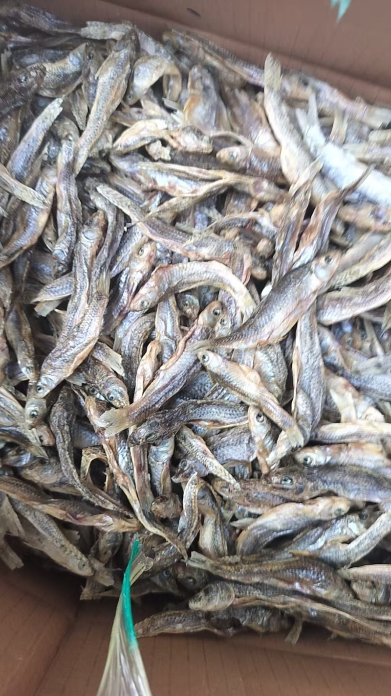 开肚烤小鱼干麦穗鱼干山东微山特产品质好价格低