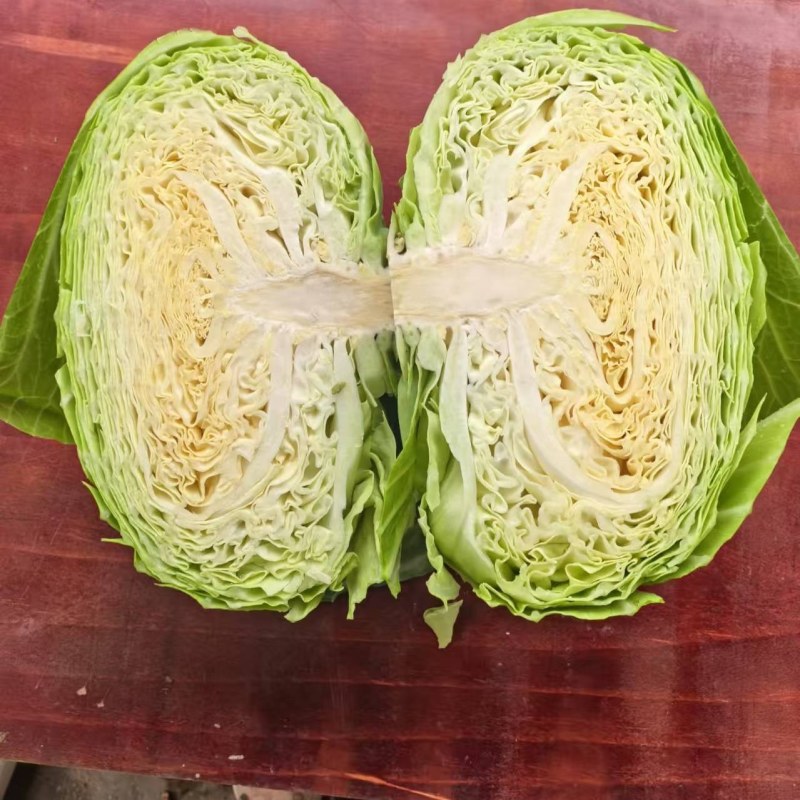 莲花白