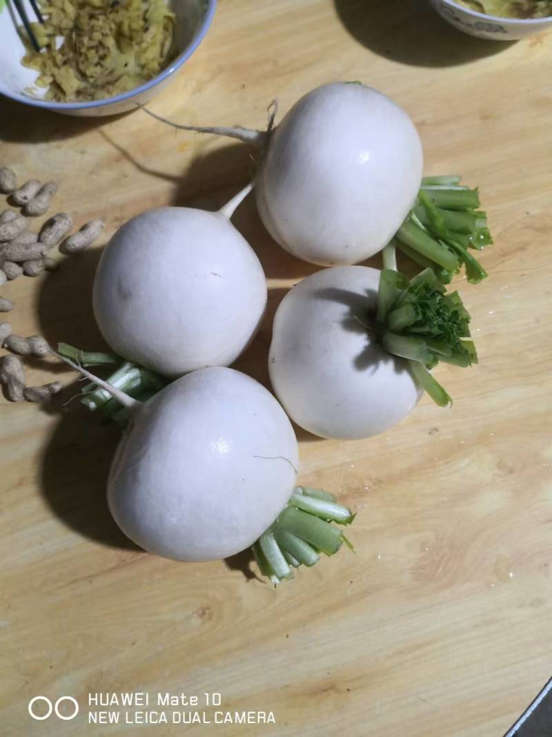 长白萝卜