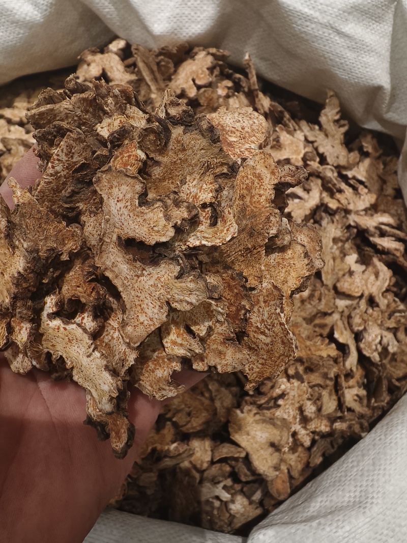 苍术优质新货北苍术朱砂点明显全撞皮半撞皮苍术野生苍术
