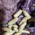 精品小白嘴山药豆糖葫芦专用量大从优质量保证欢迎咨询