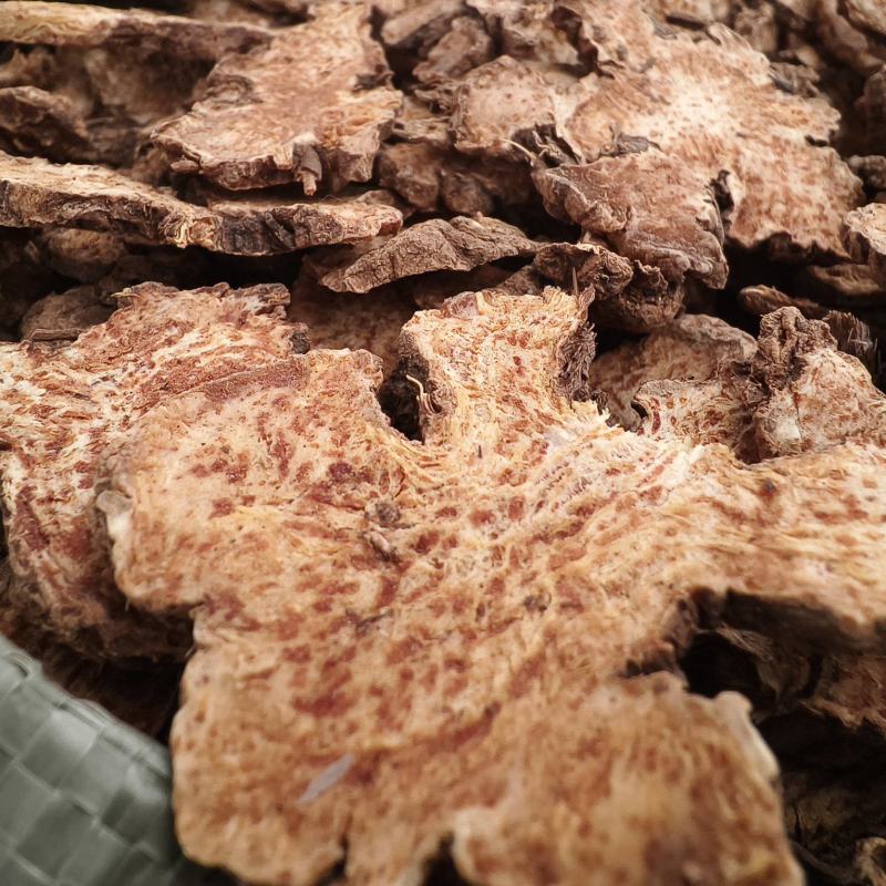 苍术优质新货北苍术朱砂点明显全撞皮半撞皮苍术野生苍术