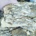 当归，当归统装切片，质量保证！经营各种中药材