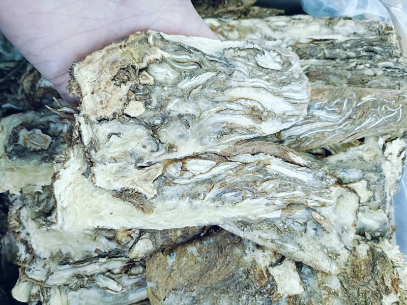 当归，当归统装切片，质量保证！经营各种中药材