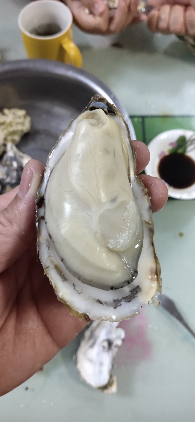 生蚝