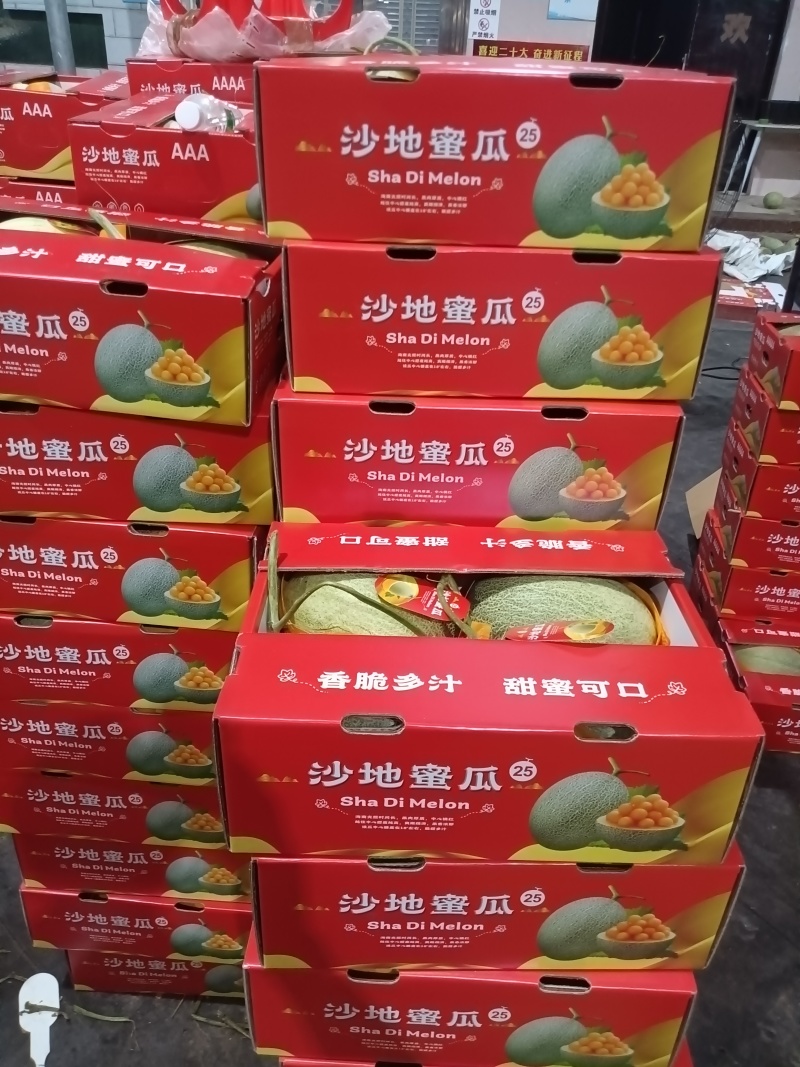 海南沙地密瓜