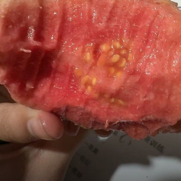 红心芭乐广东精品产地直销质量保证欢迎各位老板服务商联系
