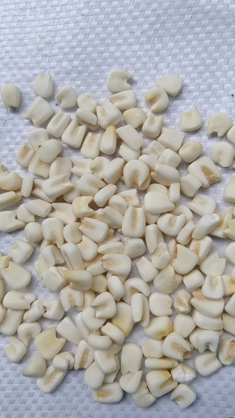 整粒脱皮珍珠白糯玉米粒玉米碴