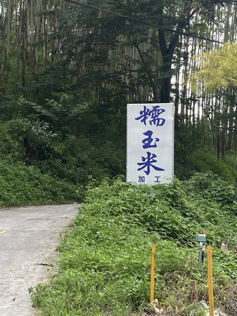 整粒脱皮珍珠白糯玉米粒玉米碴