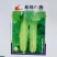 致绿白燕黄瓜种籽早熟高产春秋播农家大田阳台盆栽黄瓜种子