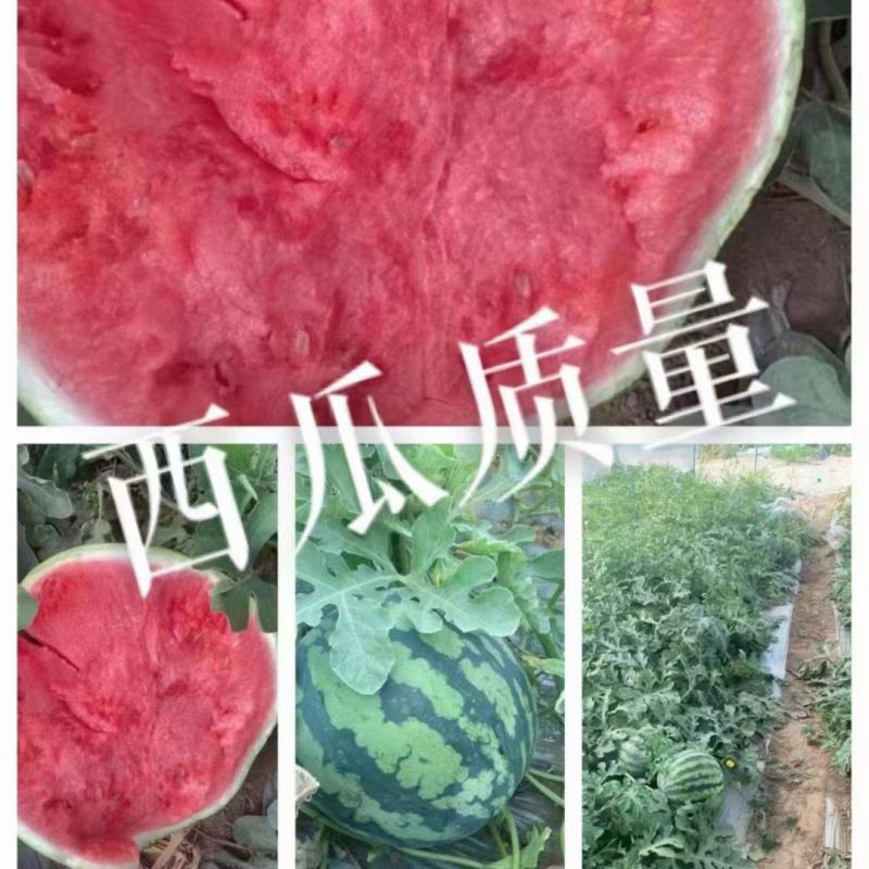 大量有货，质量**，诚信为本，包你赚钱