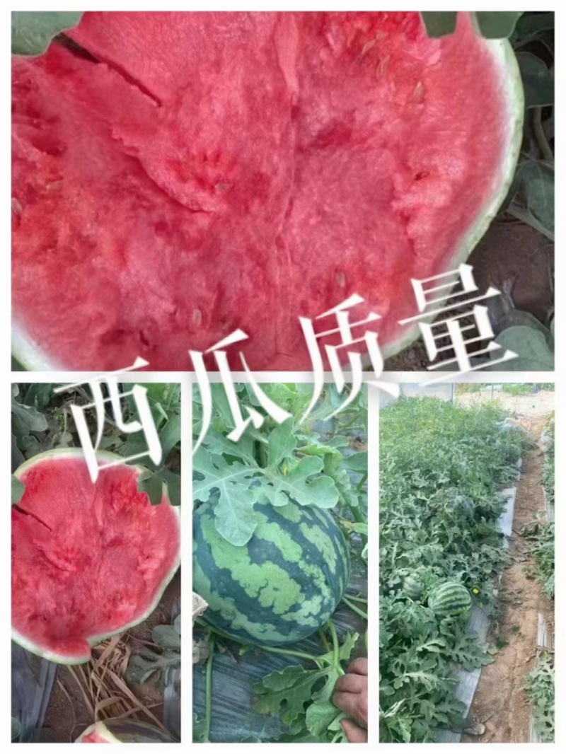 大量有货，质量**，诚信为本，包你赚钱