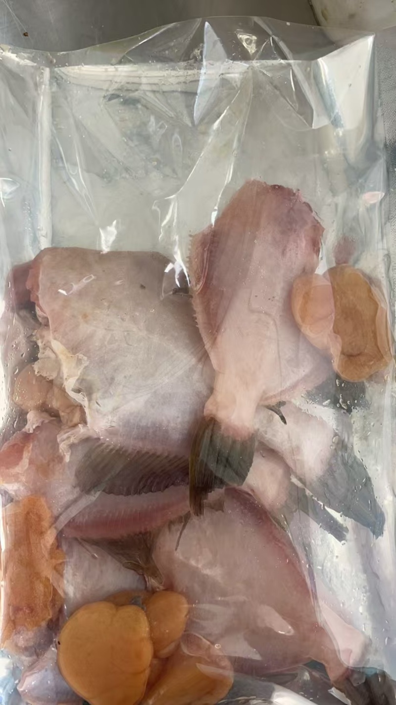 三去马面鱼耗儿鱼火锅鱼原条马面鱼耗儿鱼老鼠鱼橡皮鱼
