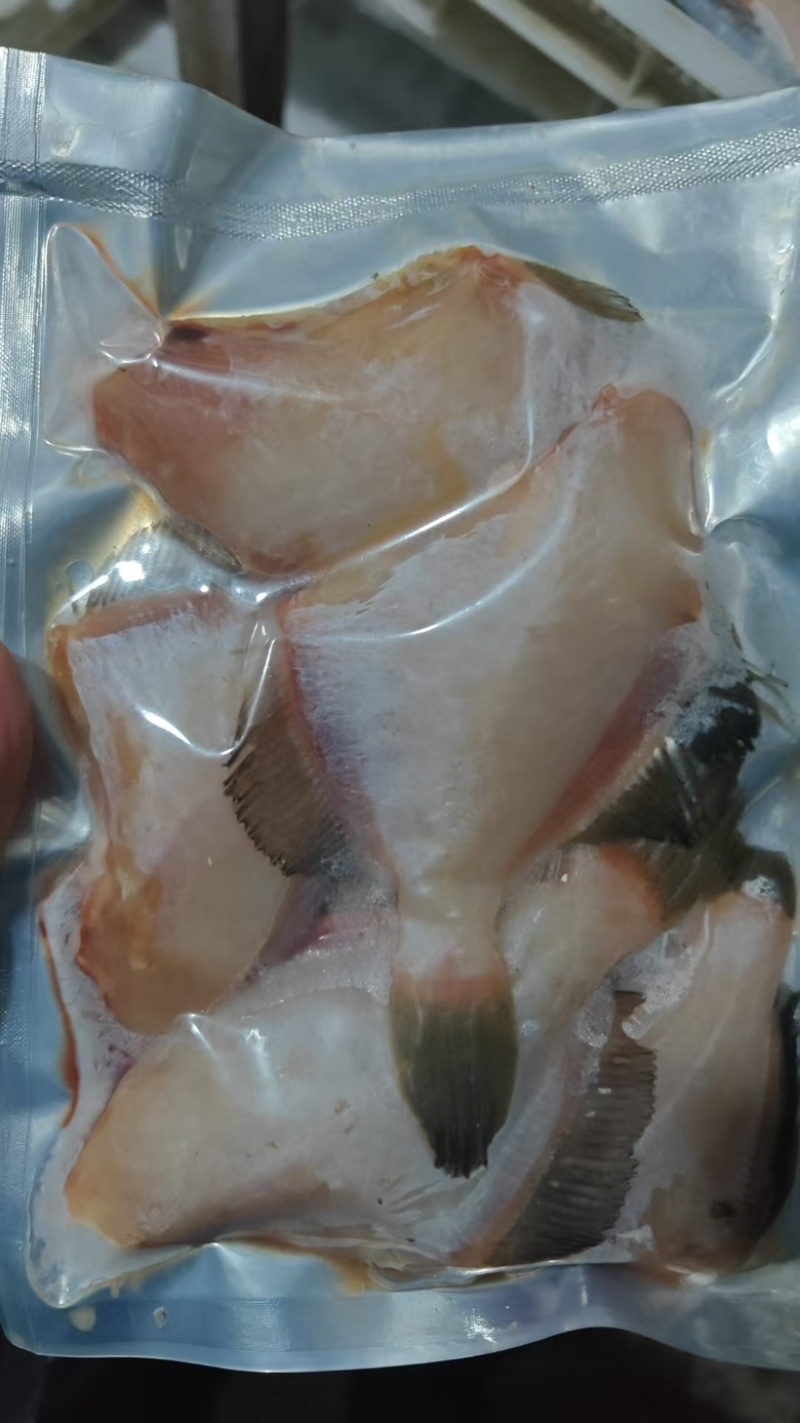 三去马面鱼耗儿鱼火锅鱼原条马面鱼耗儿鱼老鼠鱼橡皮鱼